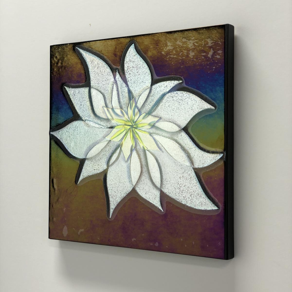 Bloom
12 x 12 x 1 : Botanicals : art & architectural glass for residential & commercial installations,purchase & commission