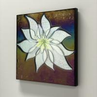 Bloom
12 x 12 x 1